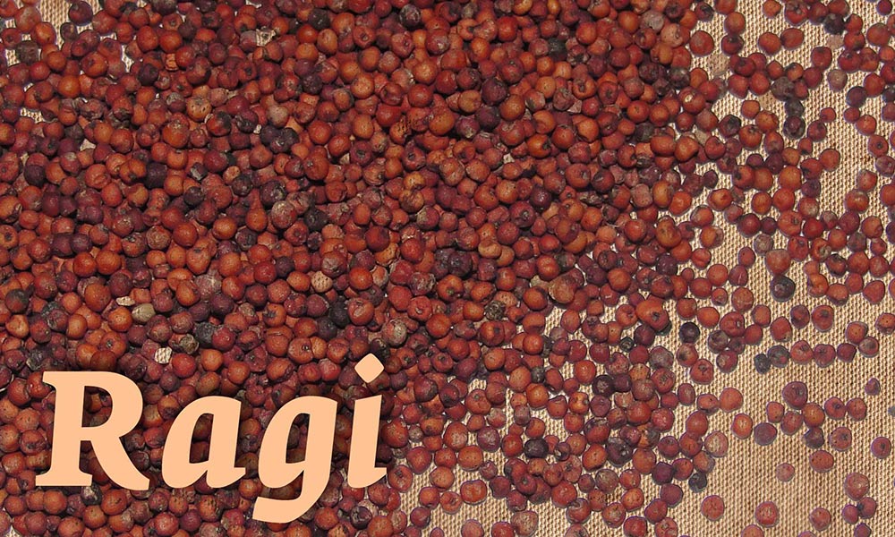 know-about-raagi-it-s-uses-and-health-benefits-latest-news-update