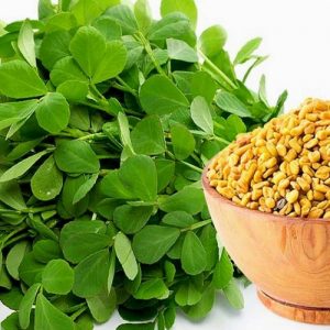 Fenugreek Leaves : Health Benefits - ഉലുവയിലയുടെ ആരോഗ്യ ഗുണങ്ങൾ - Uluva Cheerayude Gunangal