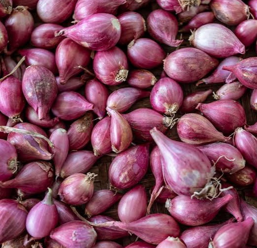 Home Remedies With Shallots