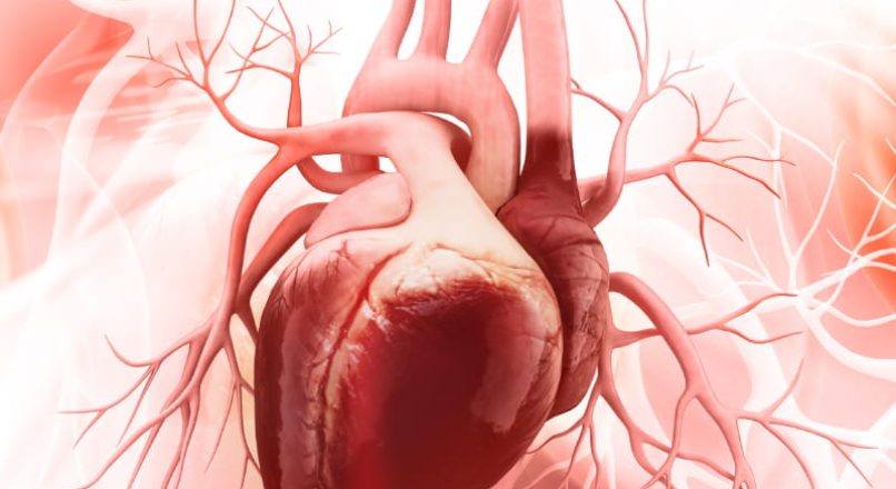 ഹൃദ്രോഗം മാറാനുള്ള ഒറ്റമൂലികൾ – Home Remedies for Heart Disease – Hridrogam Maaranulla Ottamoolikal