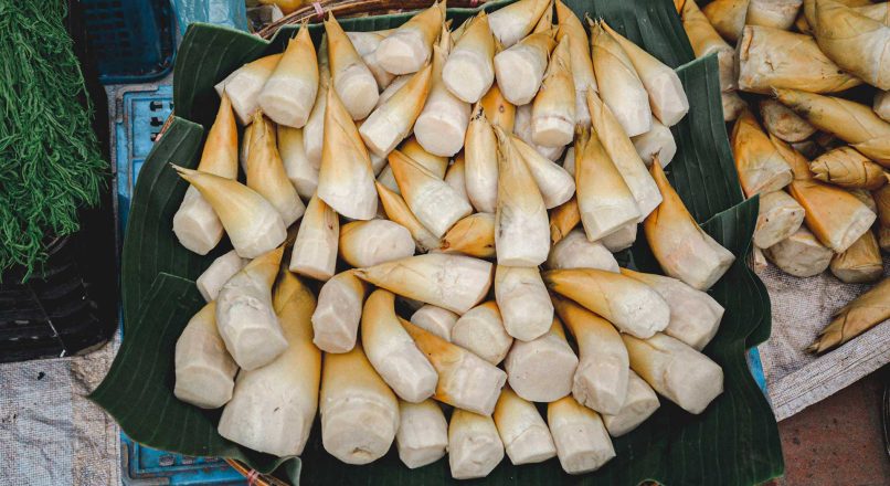 മുളയുടെ ആരോഗ്യ ഗുണങ്ങൾ – Health Benefits of Bamboo Shoot – Mulayude Aarogya Gungangal