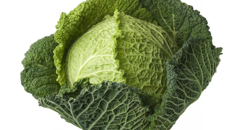 Health Benefits of Cabbage – കാബേജിന്റെ ആരോഗ്യഗുണങ്ങൾ – Cabbaginte Aarogya gunangal