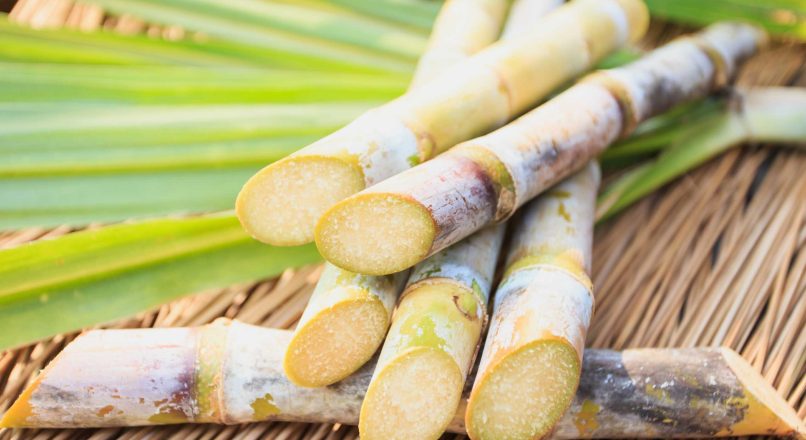 കരിമ്പിന്റെ ആരോഗ്യ ഗുണങ്ങൾ – Health Benefits of Sugarcane – Karimbinte Aarogya Gunangal