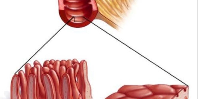 Home Remedies for Celiac Disease - ഒറ്റമൂലി