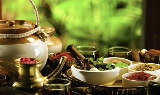 Himalaya Ayurvedic Treatment Centre-Ajman